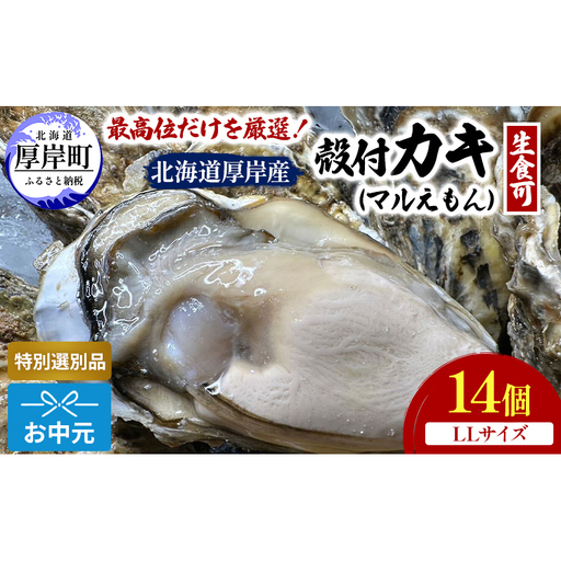 北海道 厚岸産 殻付き 牡蠣 LLサイズ 14個 お中元 特別選別品 魚貝類 生牡蠣 海鮮 海の幸 海産物 ふっくら 濃厚 甘み マルえもん オイスター 生食用殻付カキ 生食用