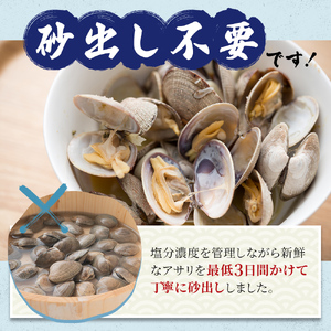 6カ月 定期便 北海道産 冷凍 ボイル あさり 180g×2パック (各月360g、合計2.16kg) 食品 魚介類 水産加工品 