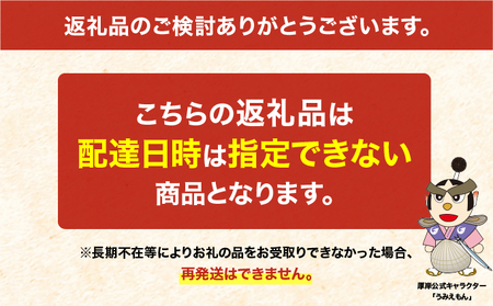 先行予約 北海道厚岸産 特大 あさり （砂出し済み） ムキほっき セット