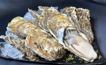 訳あり 北海道 厚岸産 殻付き 牡蠣 1kg