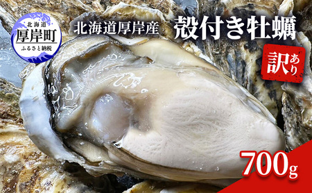 訳あり 北海道 厚岸産 殻付き 牡蠣 700g 魚貝類 生牡蠣 海の幸 海鮮 オイスター 濃厚な甘み グルメ 