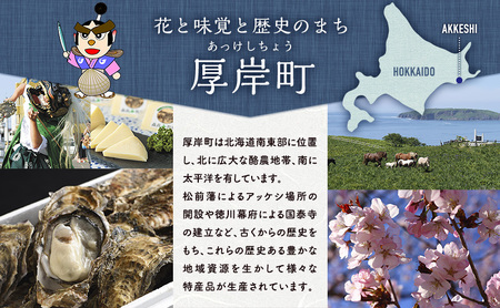 訳あり 北海道 厚岸産 殻付き 牡蠣 700g 魚貝類 生牡蠣 海の幸 海鮮 オイスター 濃厚な甘み グルメ 