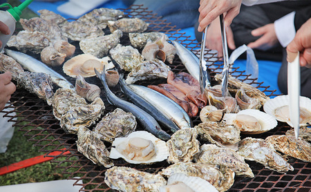 北海道厚岸町 寄附のみの応援受付 10,000円コース（返礼品なし 寄附のみ 10000円） 支援 自治体支援 