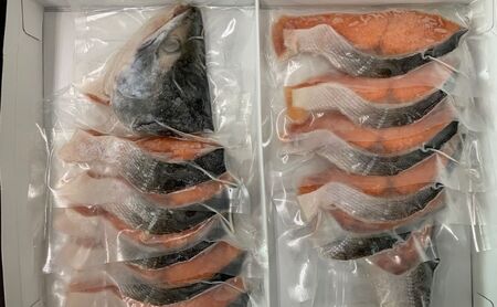 北海道 厚岸産 時鮭 姿切身 甘塩仕立て 半身 750g 個包装 鮭 切り身