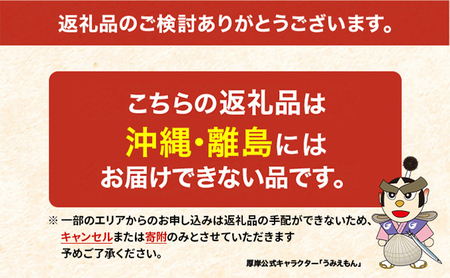 ロシア産 バフンウニ 塩水パック 100g×1 雲丹 ウニ うに 新鮮 海産物 冷蔵 濃厚 甘い