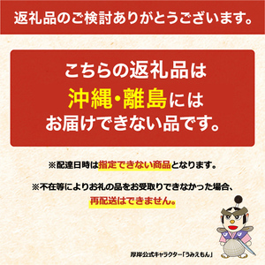 北海道 厚岸産 牡蠣 約4kg 海鮮 セット 訳あり × 北海道産 ホタテ 750g (250g×3)  ホタテ 牡蠣 ほたて 刺身  帆立 貝柱 カキ 生牡蠣 殻付 海鮮丼 魚介 貝 ふるさと 贈答用 人気 厚岸町 白糠町