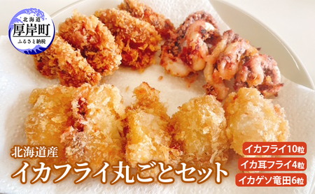 北海道産イカフライ丸ごとセット (イカフライ 10粒 イカ耳フライ 4粒 イカゲソ 竜田 6粒 ) イカ 揚げ物 冷凍