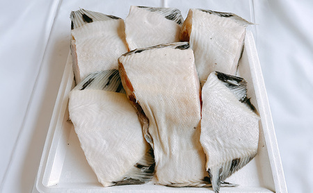 北海道産 訳あり黒かれい 切身 1kg 鰈 カレイ 煮つけ 魚 魚類 海魚 海鮮 北海道 厚岸町