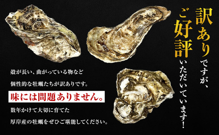 1月配送 訳あり 牡蠣 北海道厚岸産 殻付カキ 約4kg (25から50個) カキナイフ付 生食 生牡蠣 貝付き牡蠣 貝 海鮮 魚介類 殻付き牡蠣 マルえもん