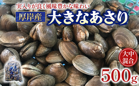 北海道 厚岸産 あさり 500g×1パック (合計500g) 大中混合 アサリ 魚貝 海 美味しい 栄養 旨み 砂出し 水洗い 冷蔵 冷凍保存可能 便利