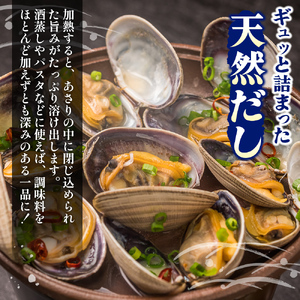 北海道 厚岸産 あさり 500g×1パック (合計500g) 大中混合 アサリ 魚貝 海 美味しい 栄養 旨み 砂出し 水洗い 冷蔵 冷凍保存可能 便利