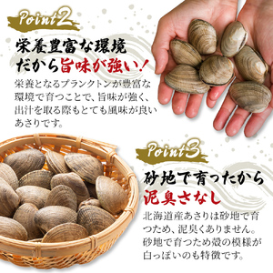 3ヵ月 定期便 北海道産 冷凍ボイル あさり 180g×4パック （各月720g、合計2.16kg） 魚貝類 海鮮 海の幸 旨味 簡単 便利 食材