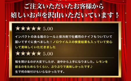 北海道厚岸産 生食用 殻付カキ 3Lサイズ 12個 マルえもん 魚貝類 海の幸 海のミルク 海鮮 国産 北海道産 オイスター つまみ お酒 あて 肴 生牡蠣 メルマガ掲載商品1