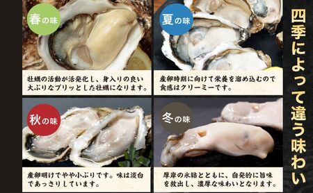 北海道厚岸産 生食用 殻付カキ 3Lサイズ 12個 マルえもん 魚貝類 海の幸 海のミルク 海鮮 国産 北海道産 オイスター つまみ お酒 あて 肴 生牡蠣 メルマガ掲載商品1