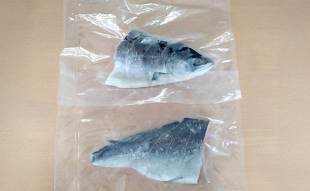 北海道産 塩時鮭 姿切身（半身） 約600g （300g×2パック） [ 鮭 さけ 時鮭 貴重 焼き魚 魚 魚介類 サケ ]