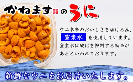 北海道産塩水うに 蝦夷ばふんうに 100g １ 北海道厚岸町 ふるさと納税サイト ふるなび