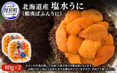≪入荷次第出荷≫北海道産塩水うに(蝦夷ばふんうに)100g×2