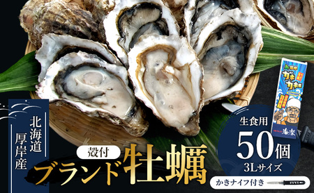北の海のミルク！ 厚岸産 牡蠣 3Lサイズが50個！ 生食用 生牡蠣 貝付き牡蠣 貝 海鮮 魚介類 殻付き牡蠣 マルえもん メルマガ掲載商品3