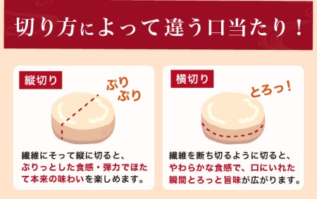 北海道産 冷凍 帆立貝柱 500g (18玉前後) ホタテ ほたて 玉冷 魚貝類