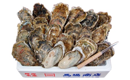 厚岸産　殻かき L20個セット 北海道 牡蠣 カキ かき 生食 生食用 生牡蠣