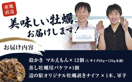 元祖 厚岸バケツ牡蠣セット12個 北海道 牡蠣 カキ かき 魚介類 シーフード マルえもん