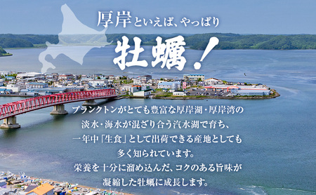 厚岸町 新ブランド 『 弁天かき 』 Lサイズ 15個  北海道 牡蠣 カキ かき 生食 生食用 生牡蠣