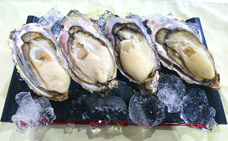  厚岸産ブランドかき カキえもん Lサイズ 15個セット 北海道 牡蠣 カキ かき 生食 生食用 生牡蠣