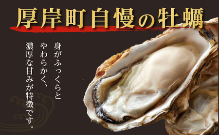  北海道厚岸産 殻かき三種 食べ比べ お試し セット　牡蠣