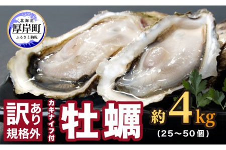 訳あり 牡蠣 北海道厚岸産 殻付カキ 約4kg (25から50個) カキナイフ付 生食