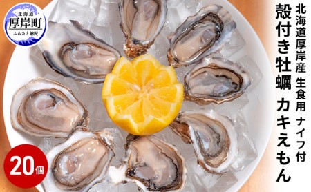 厚岸産 殻付き牡蠣(カキえもん)20個 生食用 ナイフ付(1個40~59g) 魚貝類 生牡蠣 かき 簡易ナイフ付