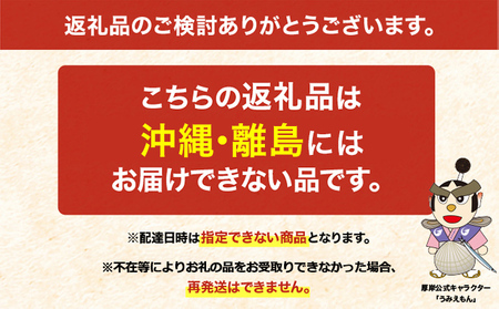 厚岸産 殻付き牡蠣(カキえもん)20個 生食用 ナイフ付(1個40~59g) 魚貝類 生牡蠣 かき 簡易ナイフ付
