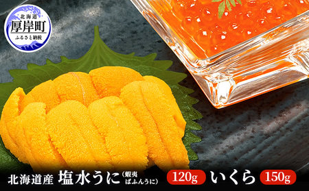 ≪入荷次第出荷≫北海道産塩水うに(蝦夷ばふんうに)150g×1・いくら150g×1