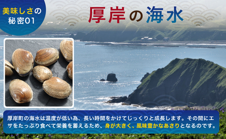 あさり 簡単 お手軽 北海道 厚岸産 ボイル 冷凍 あさり 250g ×10パック (合計約2.5kg)