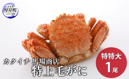 蟹屋厳選!年末 お正月 北海道厚岸産 特上毛がに 800g以上~900g以下×1尾