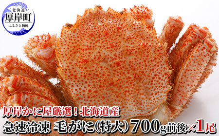 蟹屋厳選!年末 お正月 北海道厚岸産 特上毛がに 700g以上~800g以下×1尾