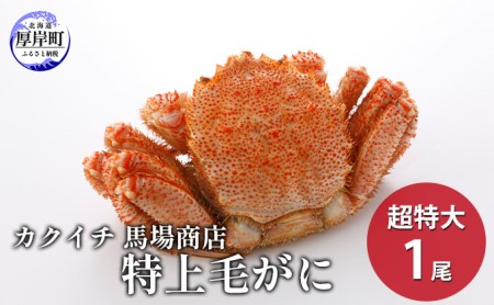 蟹屋厳選!年末 お正月 北海道厚岸産 特上毛がに 900g以上~1kg以下×1尾