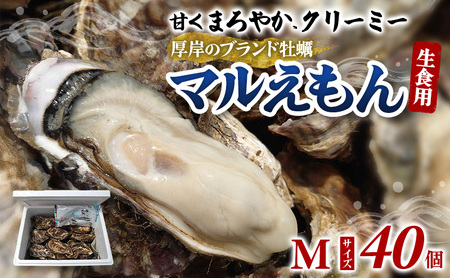 牡蠣 厚岸のブランド牡蠣 マルえもん Mサイズ 40個 生食用 魚貝類 海鮮 海のミルク 国産 生食用殻付き牡蠣 まろやか クリーミー 食べやすい品種 海の香り 牡蠣の酒蒸し 焼き牡蠣 マルえもん