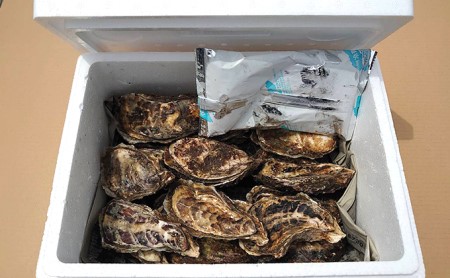 牡蠣 厚岸のブランド牡蠣 マルえもん 3Lサイズ 20個 生食用