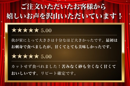 【 2ヵ月 定期便 】北海道 訳あり 冷凍 帆立 貝柱 1.1kg (各回1.1kg×2ヶ月分,合計約2.2kg)  刺身 新鮮 魚貝類 