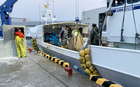 北海道 厚岸産 超極太 ボイルたこ足 2本（約3kg）