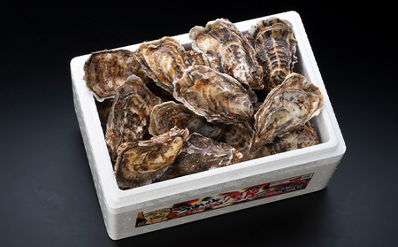 北海道 厚岸産 生食用 殻付カキ LLサイズ 10個 マルえもん 牡蠣