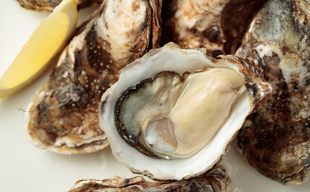 北海道 厚岸産 生食用 殻付カキ Mサイズ 10個 マルえもん 牡蠣 魚貝類 生牡蠣 かき