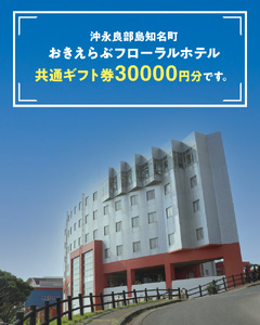 共通ギフト券 30000円 ＠ おきえらぶ フローラルホテル C003-031 チケット 旅行 共通ギフト券 券 旅 観光 プライベート 思い出 沖永良部島 宿泊 お土産 レストラン利用 帰省 滞在 大浴場 おきえらぶフローラル株式会社 ふるさと納税 知名町 おすすめ ランキング プレゼント ギフト