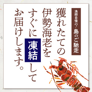沖永良部島 の 天然イセエビ 1匹 C010-021 海老 エビ えび 伊勢海老 イセエビ 伊勢えび 伊勢エビ 海産物 魚介類 魚貝類 甲殻類 天然 焼きエビ 焼きえび ボイル海老 ボイルえび ボイルエビ 海老汁 エビ汁 えび汁 冷凍 とれたて 獲れたて ご馳走 ごちそう 濃厚 甘み 鍋 ボイル 新鮮 贅沢 ぜいたく ご褒美 美味しい おいしい ぷりぷり プリプリ 沖永良部島漁業協同組合 ふるさと納税 鹿児島県 知名町 おすすめ ランキング プレゼント ギフト