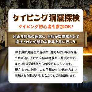ケイビング （ リムストーンケイブ ） C051-004 自然 体験 洞窟探検 探検 洞窟 初心者歓迎 記念撮影 光文字 プログラム 幻想的 アクティビティ シードリーム沖永良部 ふるさと納税 知名町 おすすめ ランキング プレゼント ギフト