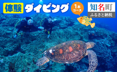 体験 ダイビング 1本コース C051-005 スポーツ 海 マリンスポーツ 自然