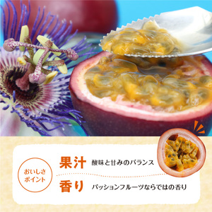 【 2026年 先行予約 】 ふじ農園 の パッションフルーツ 12個入 C031-004 果物 フルーツ