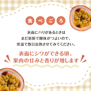 【 2026年 先行予約 】 ふじ農園 の パッションフルーツ 12個入 C031-004 果物 フルーツ