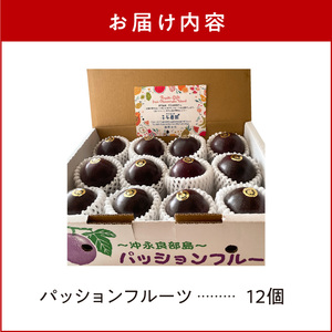 【 2026年 先行予約 】 ふじ農園 の パッションフルーツ 12個入 C031-004 果物 フルーツ