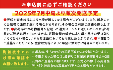 【 2025年 先行予約 】竹マンゴーファームの プレミアム 完熟 マンゴー 1キロ（大玉2個入り） C039-003 完熟マンゴー フルーツ 果物 果実 予約 限定 受付 事前予約 甘い 美味しい おいしい ジューシー とろける 甘み とろける 濃厚 極上 マンゴージュース 贈答用 鹿児島 沖永良部 竹マンゴーファームふるさと納税 知名町 おすすめ ランキング プレゼント ギフト